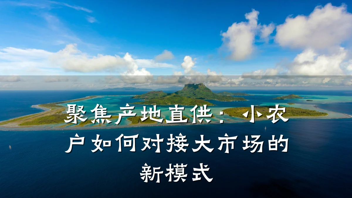 聚焦产地直供:小农户如何对接大市场的新模式