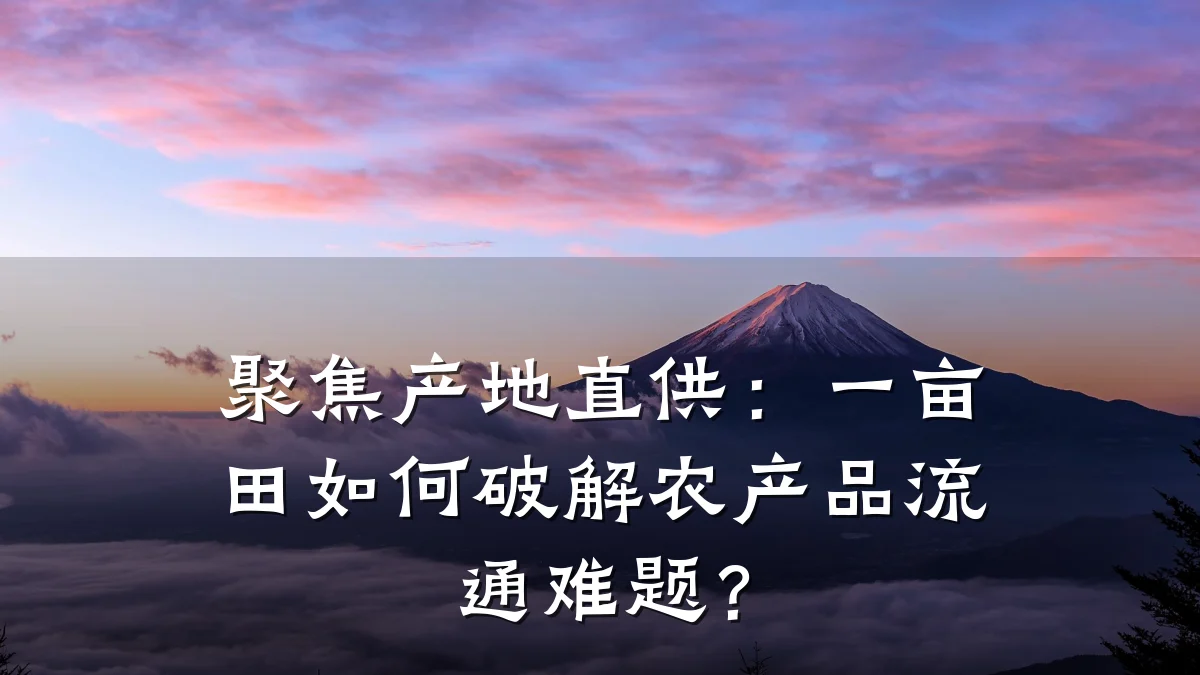 聚焦产地直供:一亩田如何破解农产品流通难题?