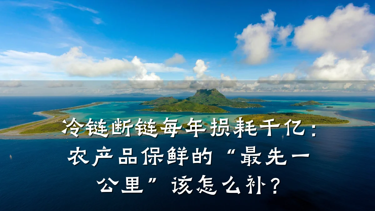 冷链断链每年损耗千亿:农产品保鲜的“最先一公里”该怎么补?