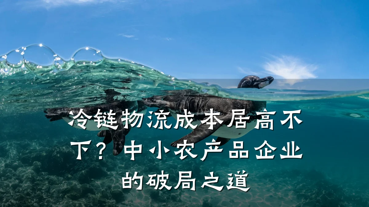 冷链物流成本居高不下?中小农产品企业的破局之道