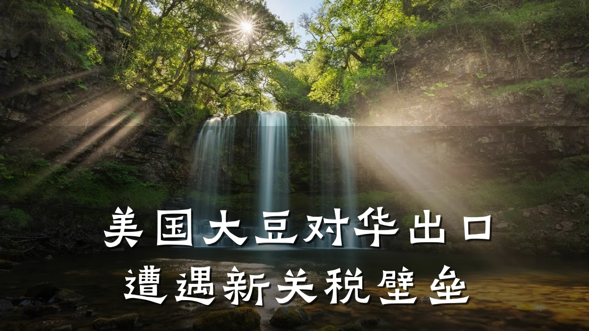 美国大豆对华出口遭遇新关税壁垒