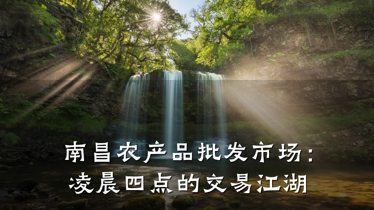 南昌农产品批发市场:凌晨四点的交易江湖