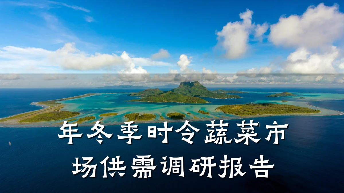 年冬季时令蔬菜市场供需调研报告
