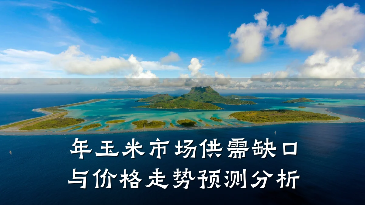 年玉米市场供需缺口与价格走势预测分析