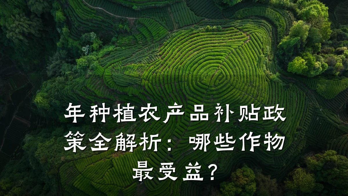 年种植农产品补贴政策全解析:哪些作物最受益?
