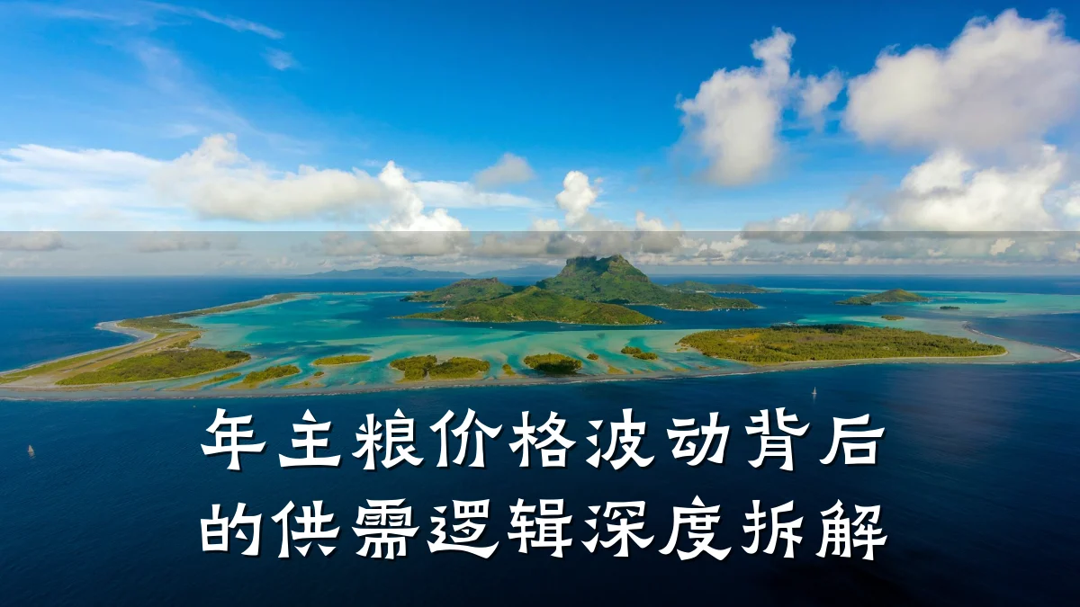 年主粮价格波动背后的供需逻辑深度拆解