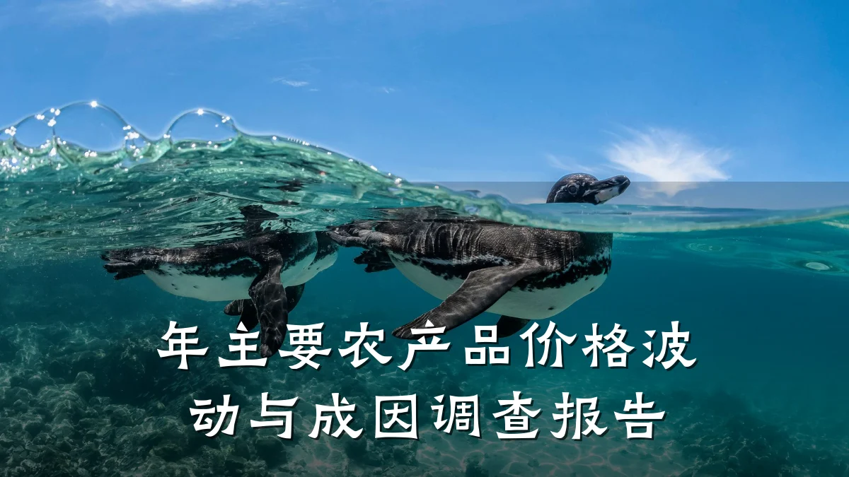 年主要农产品价格波动与成因调查报告