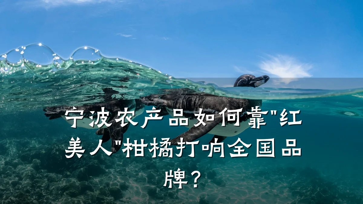 宁波农产品如何靠"红美人"柑橘打响全国品牌？