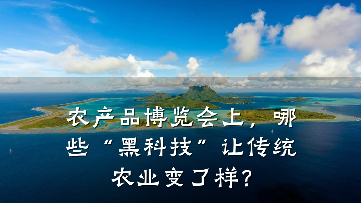 农产品博览会上,哪些“黑科技”让传统农业变了样?