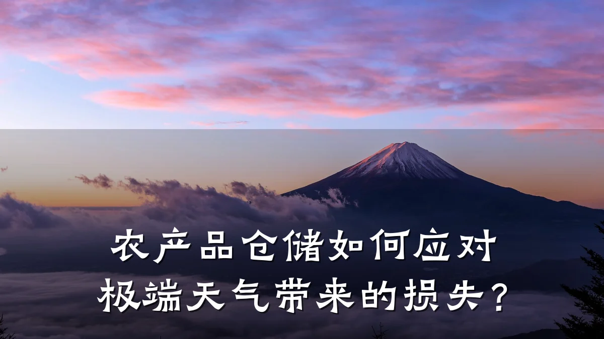 农产品仓储如何应对极端天气带来的损失?
