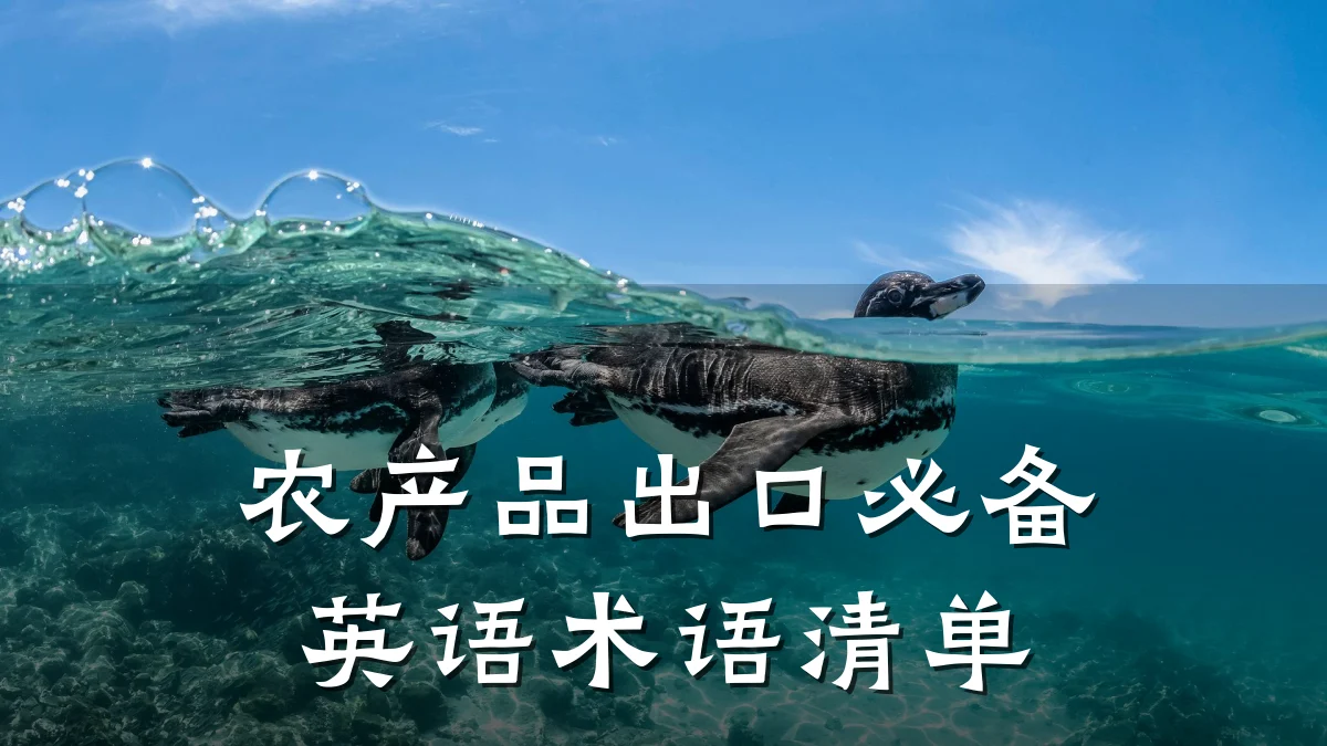 农产品出口必备英语术语清单