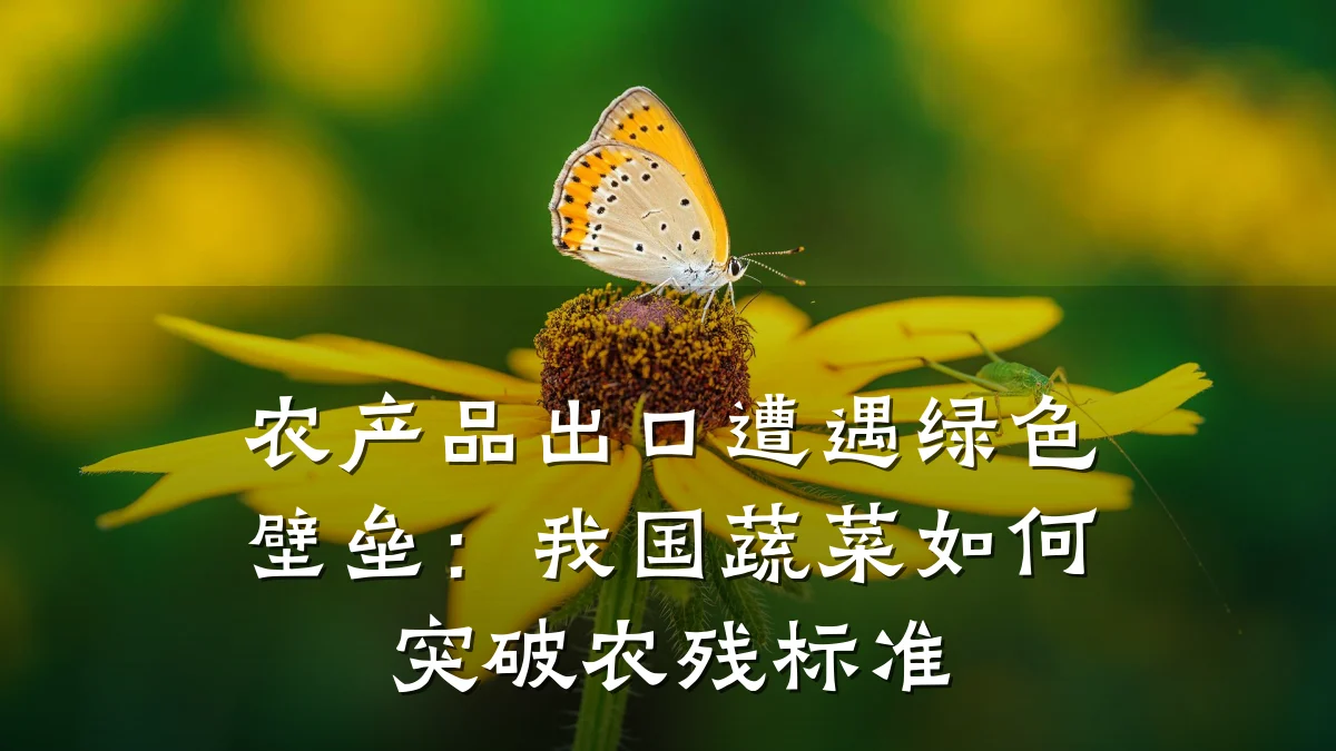 农产品出口遭遇绿色壁垒：我国蔬菜如何突破农残标准