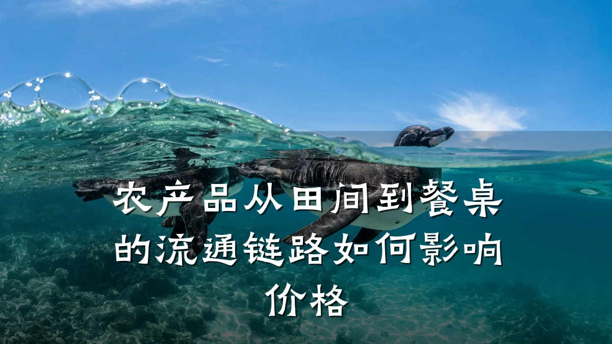 农产品从田间到餐桌的流通链路如何影响价格