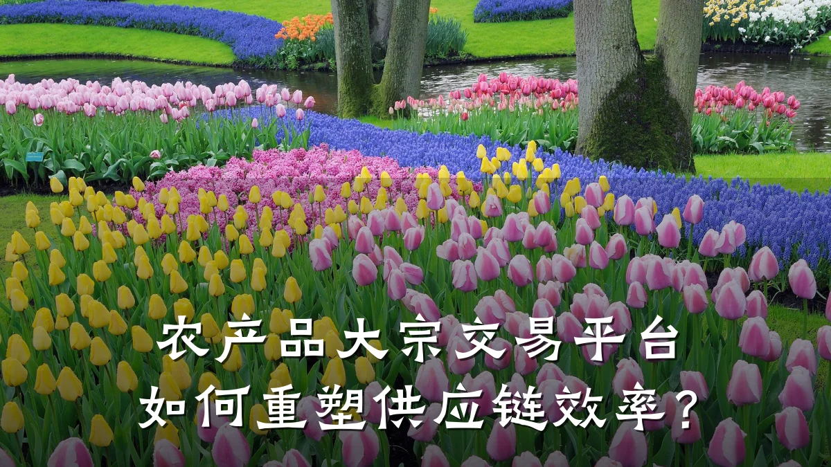 农产品大宗交易平台如何重塑供应链效率？