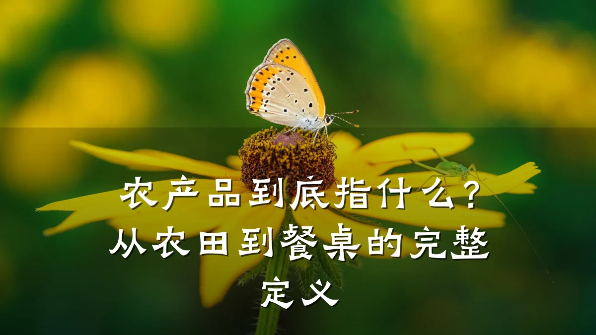农产品到底指什么?从农田到餐桌的完整定义
