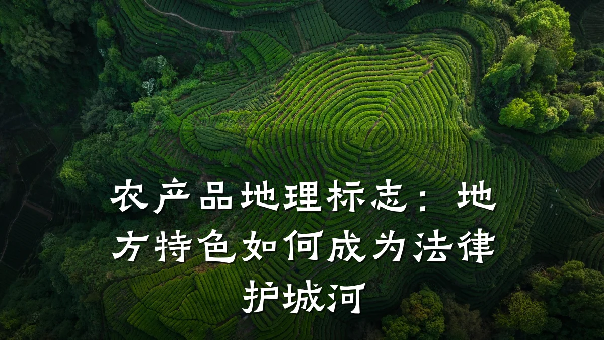 农产品地理标志:地方特色如何成为法律护城河
