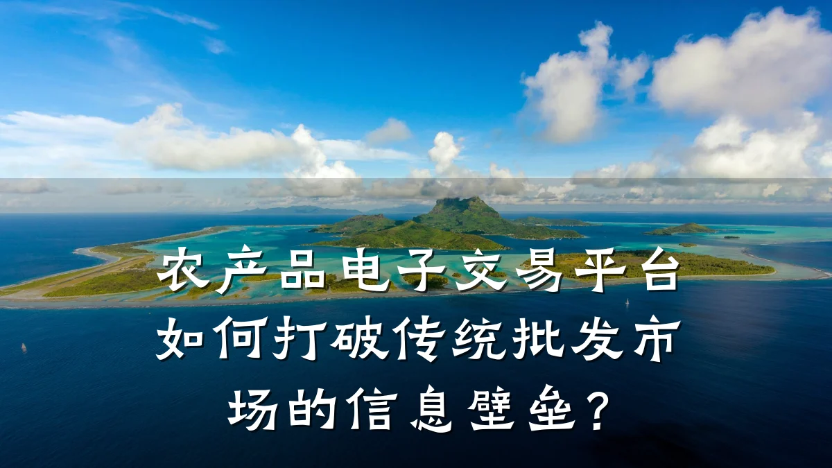 农产品电子交易平台如何打破传统批发市场的信息壁垒?
