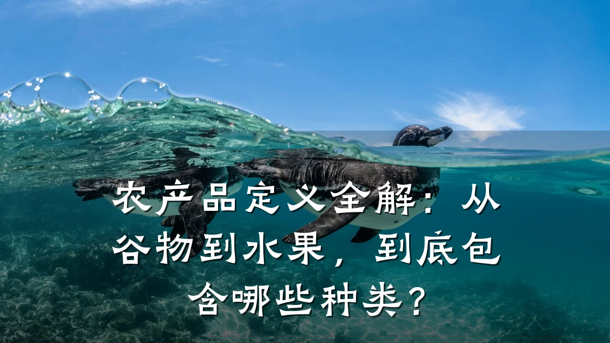 农产品定义全解：从谷物到水果，到底包含哪些种类？