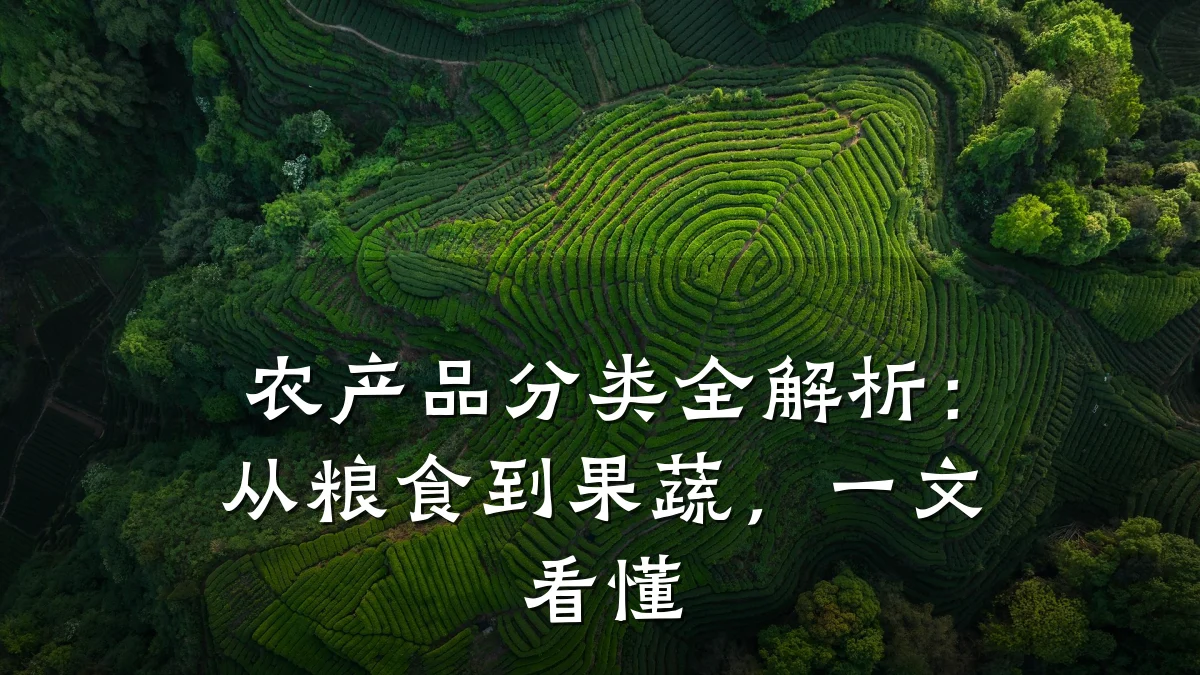 农产品分类全解析:从粮食到果蔬,一文看懂