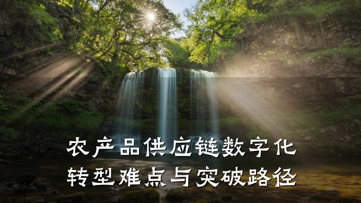 农产品供应链数字化转型难点与突破路径