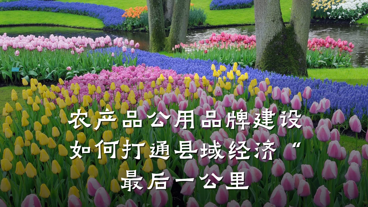 农产品公用品牌建设如何打通县域经济“最后一公里