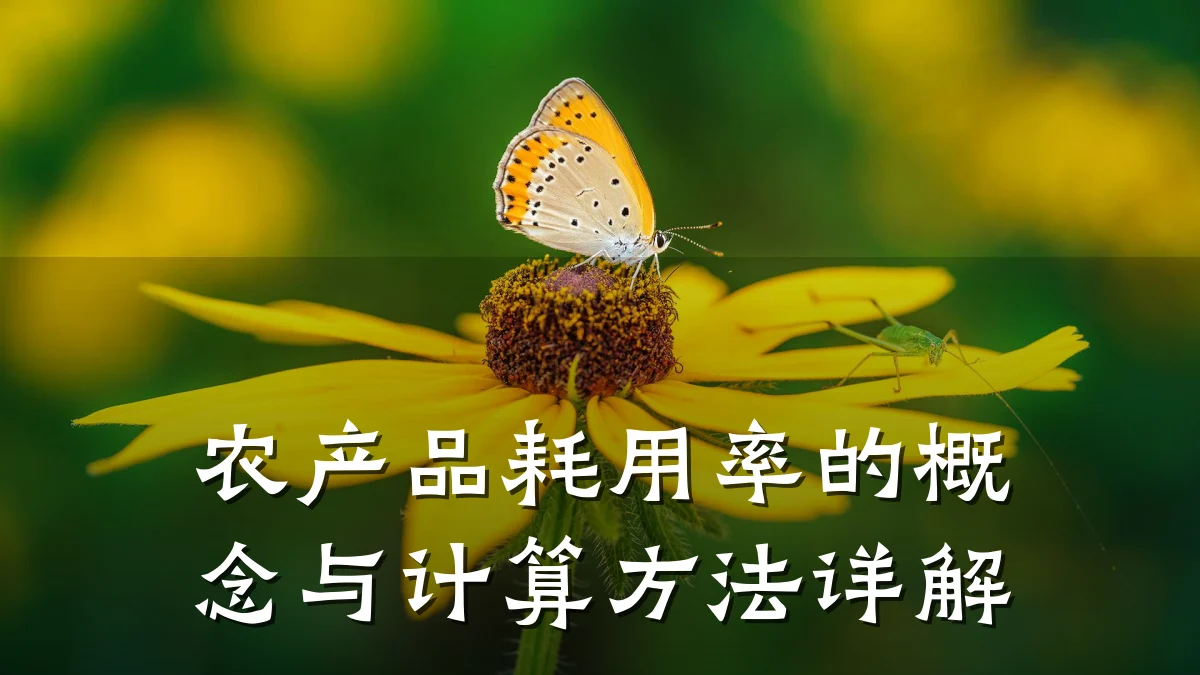 农产品耗用率的概念与计算方法详解