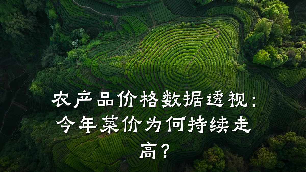 农产品价格数据透视:今年菜价为何持续走高?