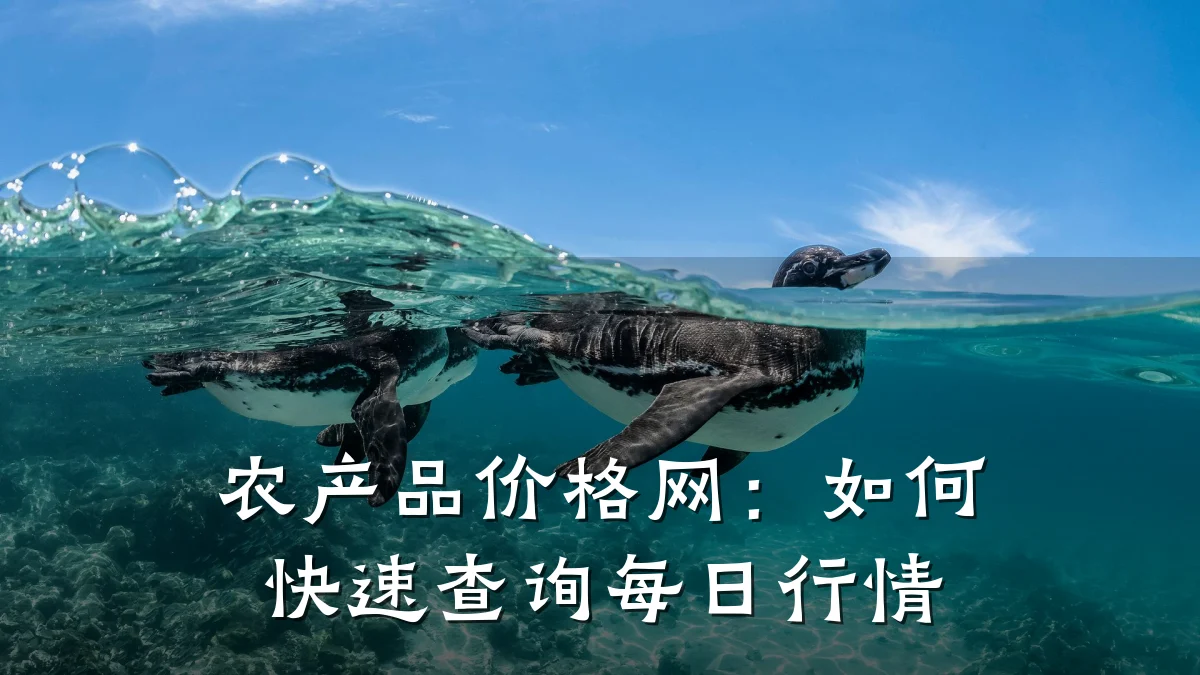 农产品价格网:如何快速查询每日行情