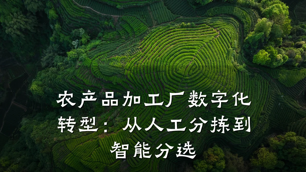 农产品加工厂数字化转型:从人工分拣到智能分选