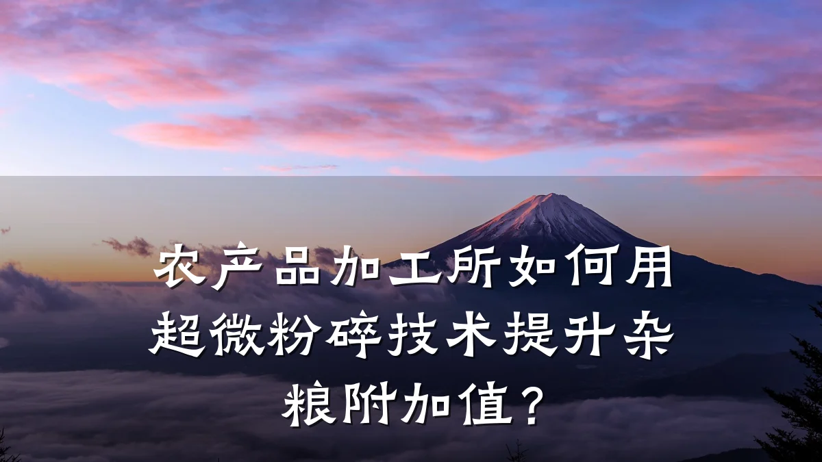 农产品加工所如何用超微粉碎技术提升杂粮附加值?