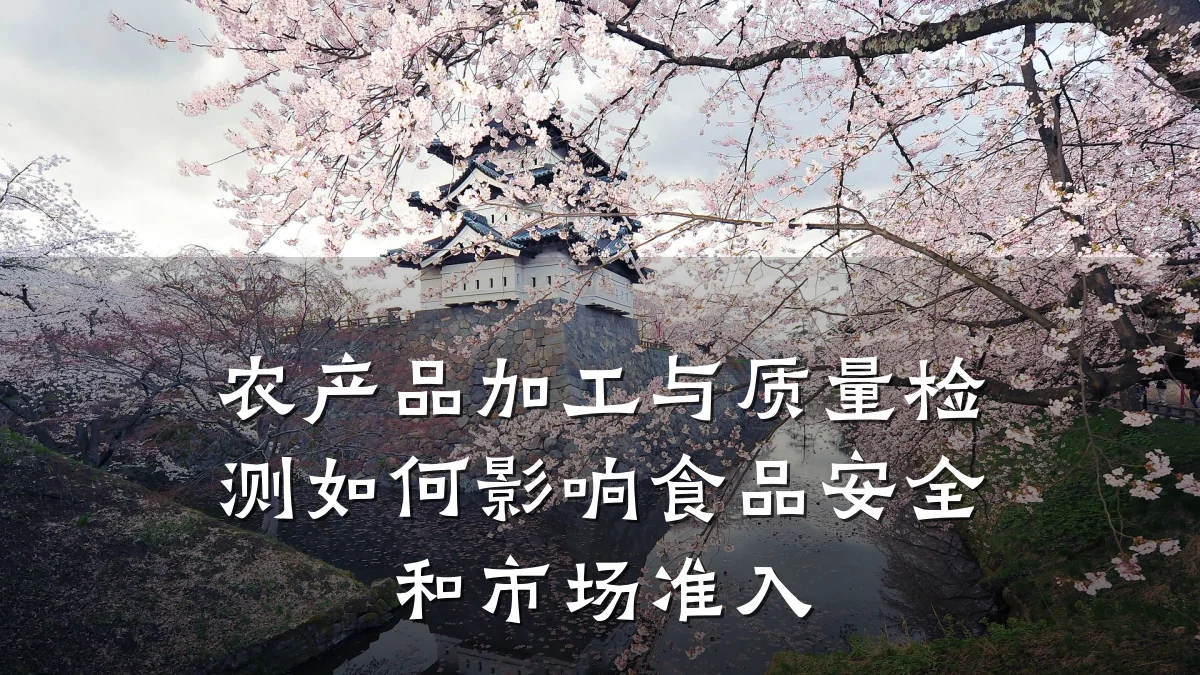 农产品加工与质量检测如何影响食品安全和市场准入