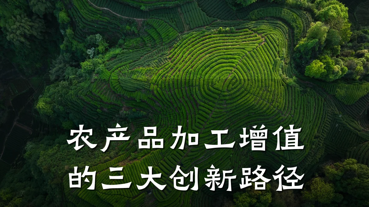 农产品加工增值的三大创新路径