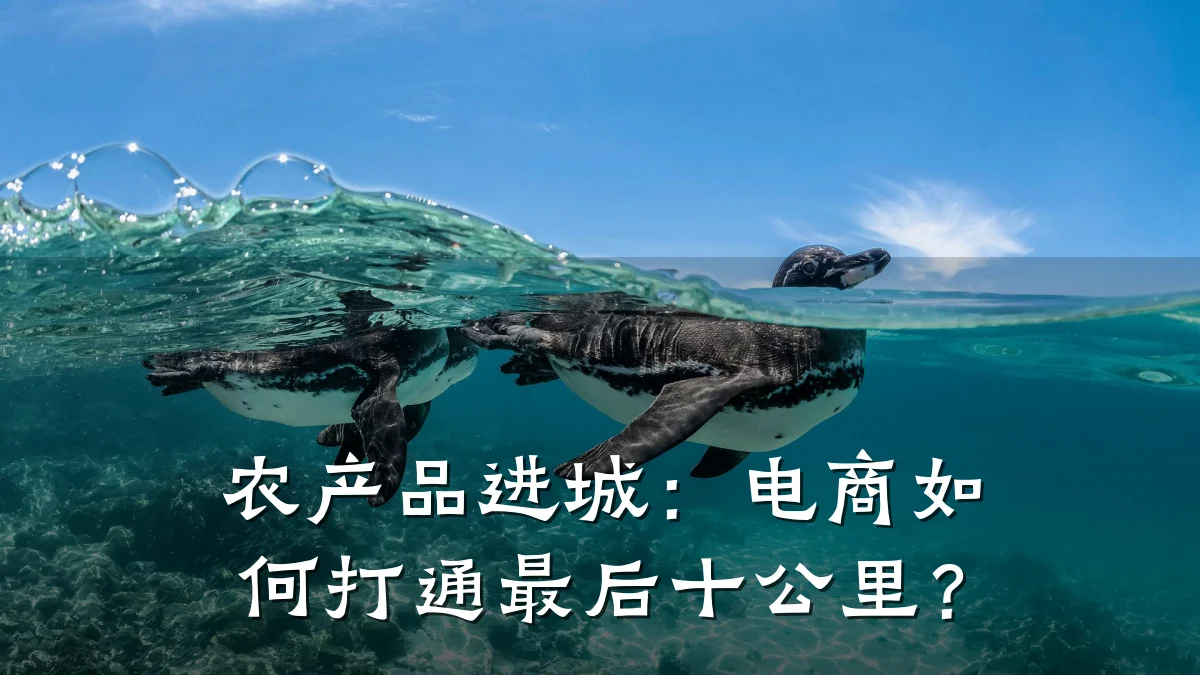 农产品进城:电商如何打通最后十公里?