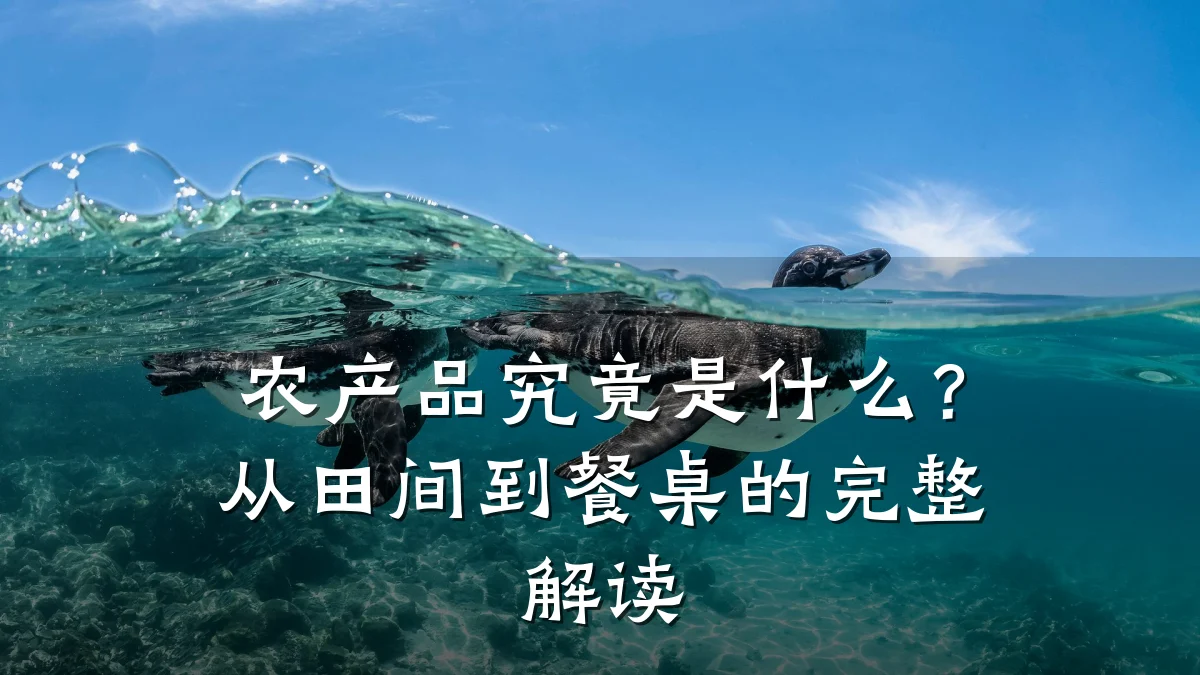 农产品究竟是什么?从田间到餐桌的完整解读