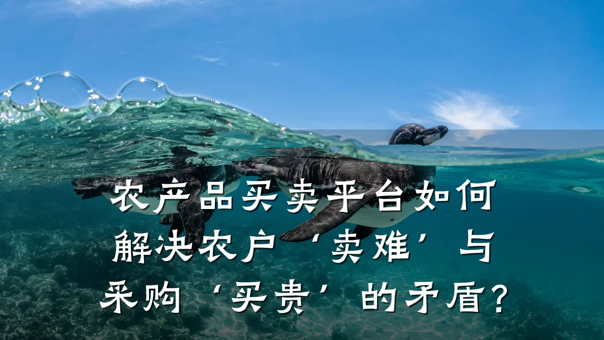 农产品买卖平台如何解决农户‘卖难’与采购‘买贵’的矛盾?