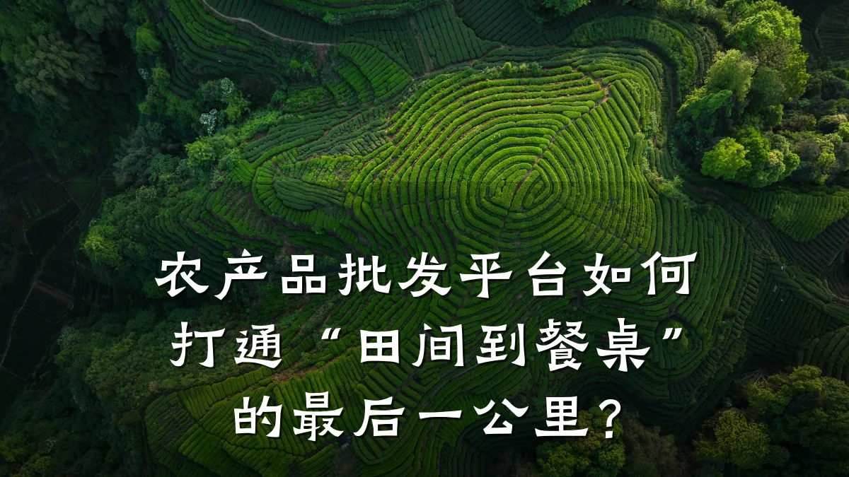 农产品批发平台如何打通“田间到餐桌”的最后一公里？