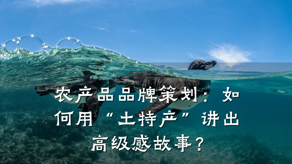 农产品品牌策划:如何用“土特产”讲出高级感故事?