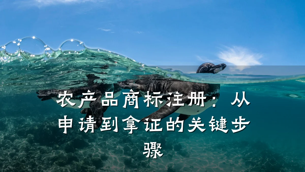 农产品商标注册:从申请到拿证的关键步骤