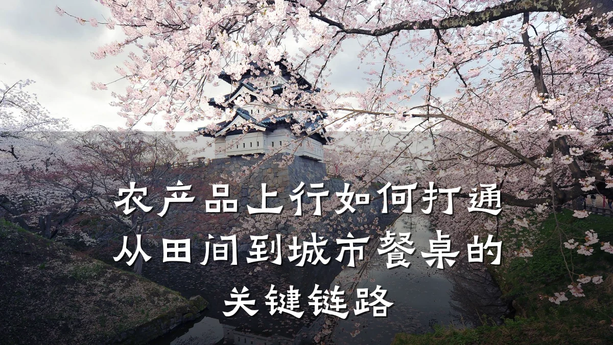 农产品上行如何打通从田间到城市餐桌的关键链路