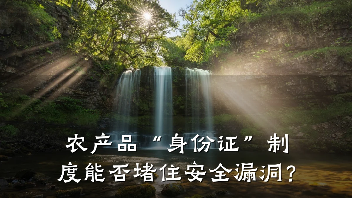 农产品“身份证”制度能否堵住安全漏洞?