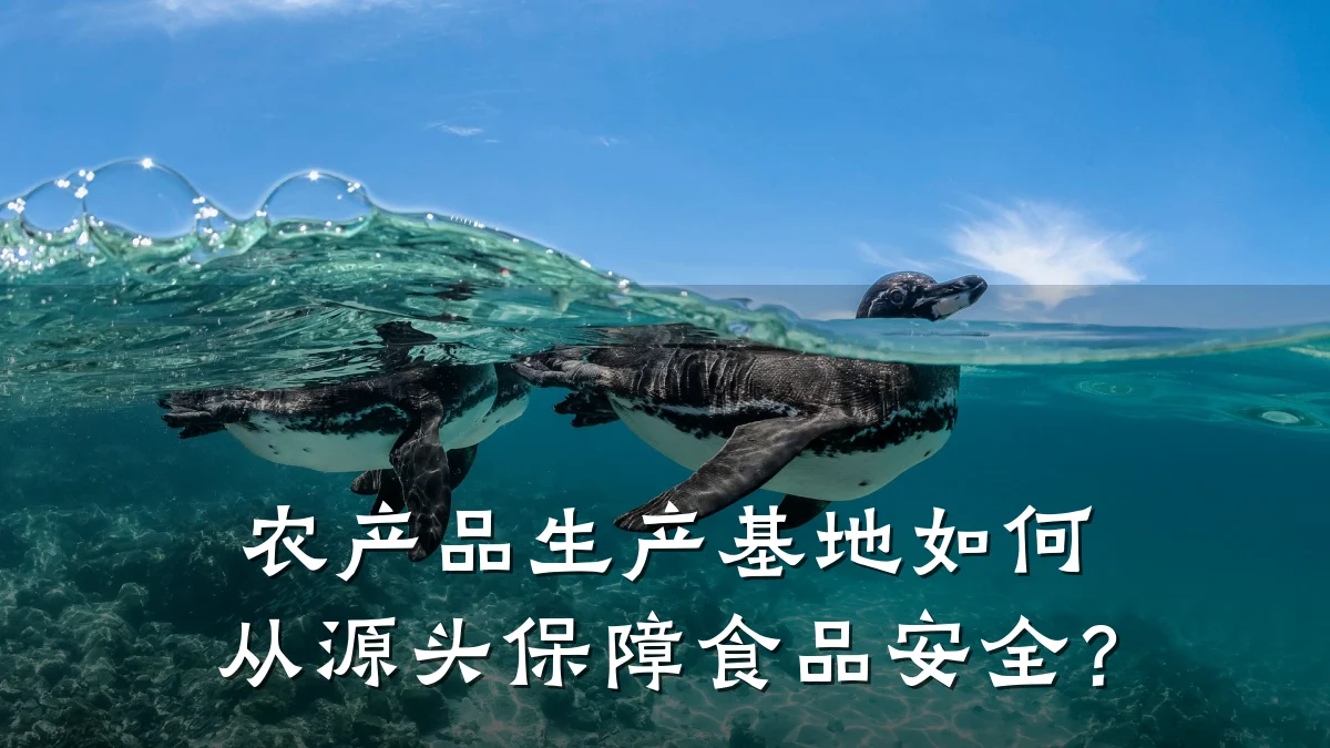 农产品生产基地如何从源头保障食品安全?