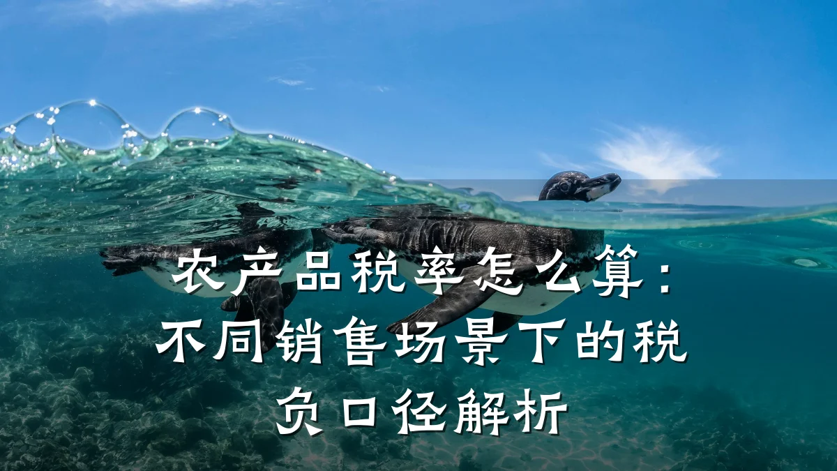 农产品税率怎么算：不同销售场景下的税负口径解析