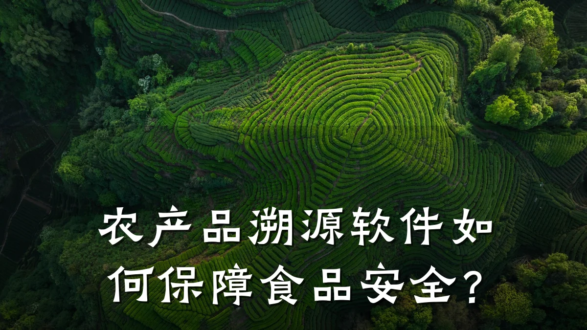 农产品溯源软件如何保障食品安全?