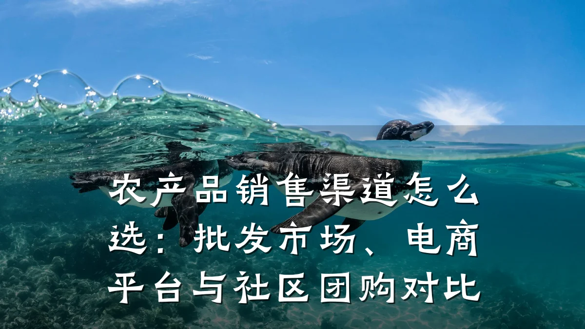 农产品销售渠道怎么选：批发市场、电商平台与社区团购对比