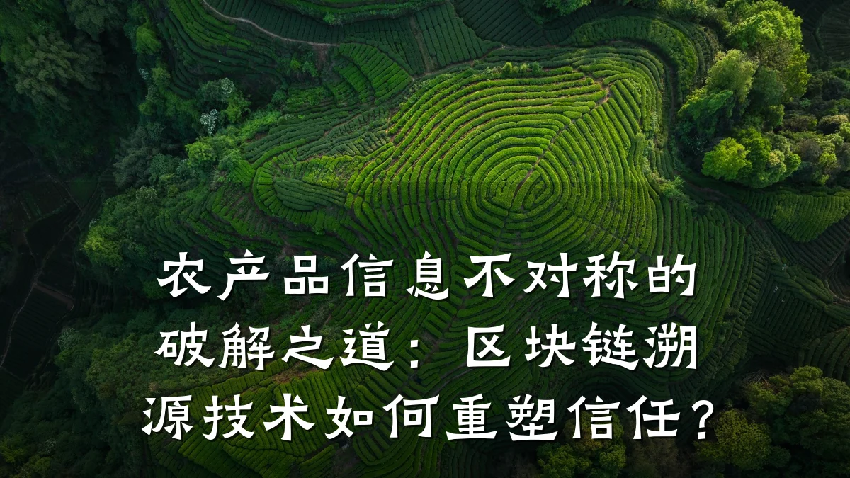 农产品信息不对称的破解之道:区块链溯源技术如何重塑信任?