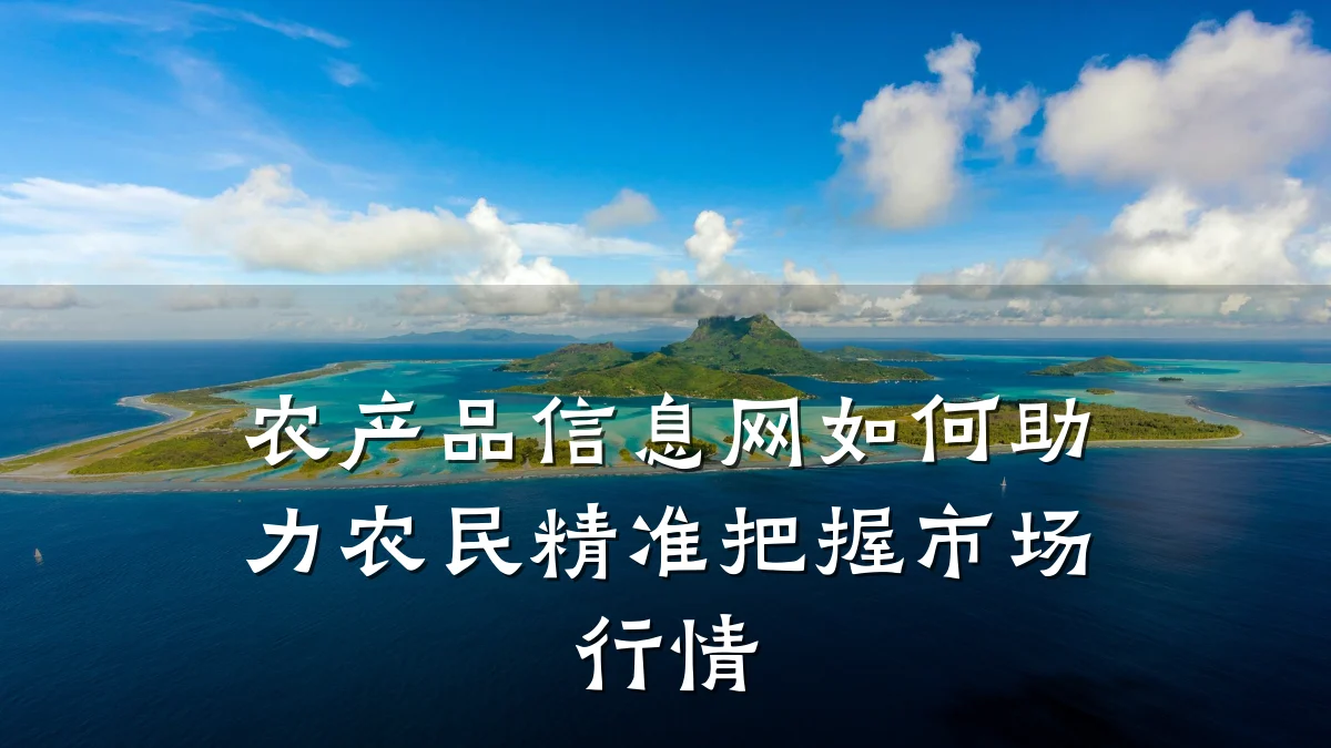 农产品信息网如何助力农民精准把握市场行情