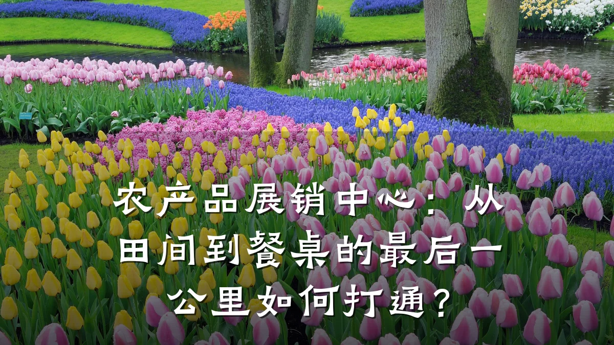 农产品展销中心:从田间到餐桌的最后一公里如何打通?