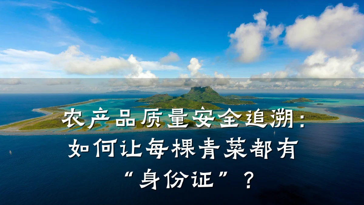 农产品质量安全追溯:如何让每棵青菜都有“身份证”?