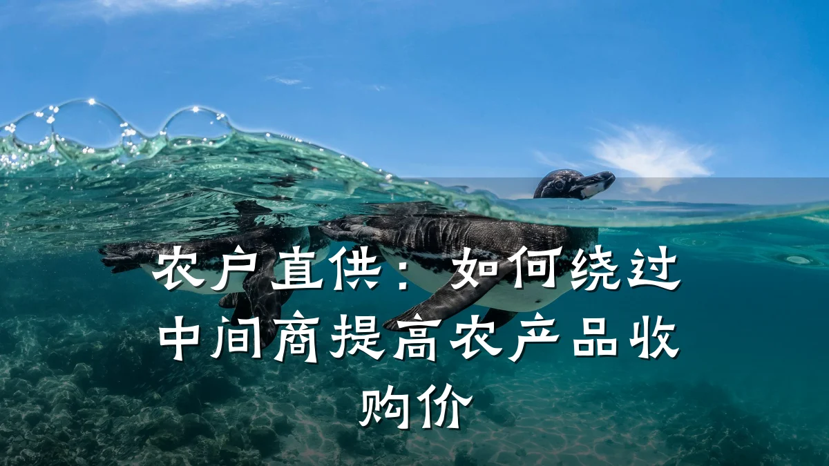 农户直供:如何绕过中间商提高农产品收购价