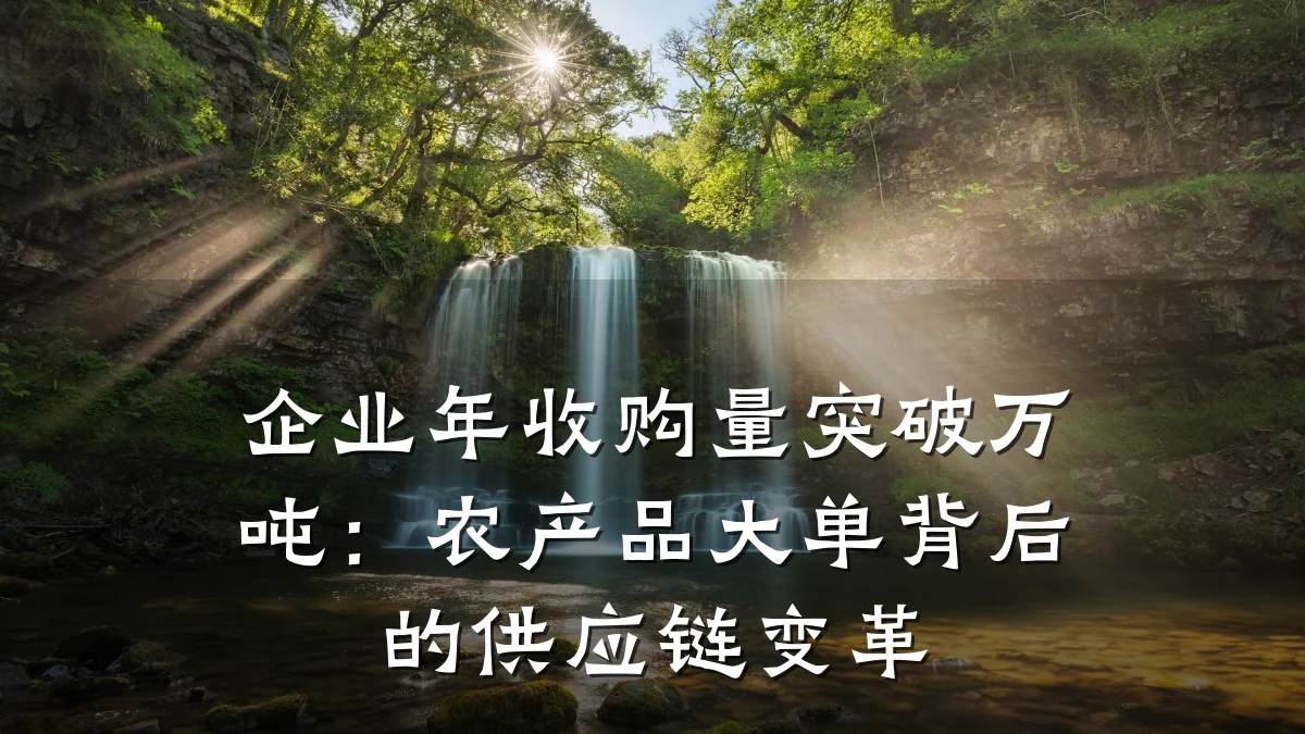 企业年收购量突破万吨：农产品大单背后的供应链变革